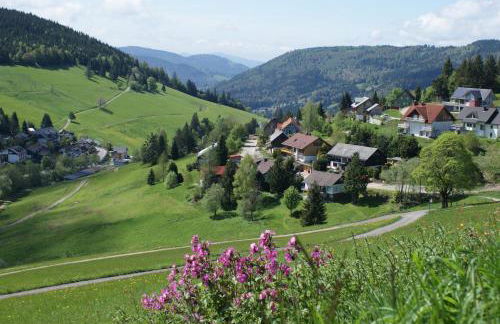 Schöne Aussicht - Foto 21