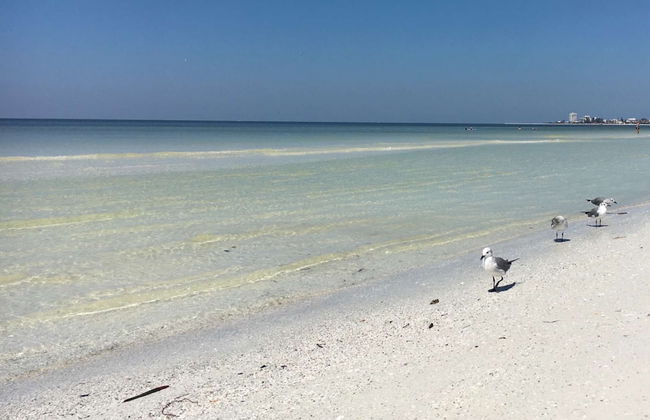 Island Dreams Gulf Breeze #2 - Foto 20