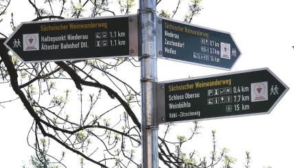 Souterrainwohnung in Niederau - Foto 5