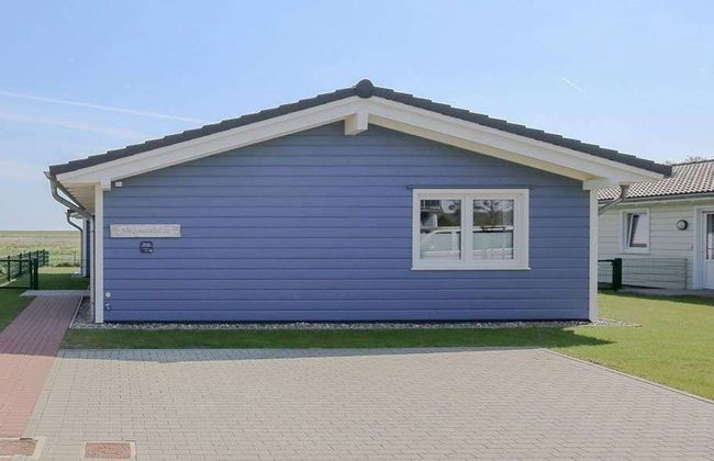 Herzmuschel - Foto 16