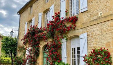 Maison Honorine - Foto 5