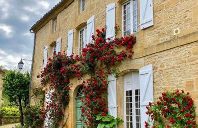 Maison Honorine - Foto 5