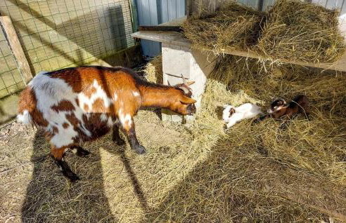 Stunning Home In Eyraud-Crempse-Maurens - Foto 14