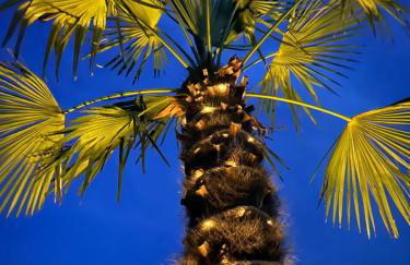 Apartament POD STRZECHĄ - Foto 6