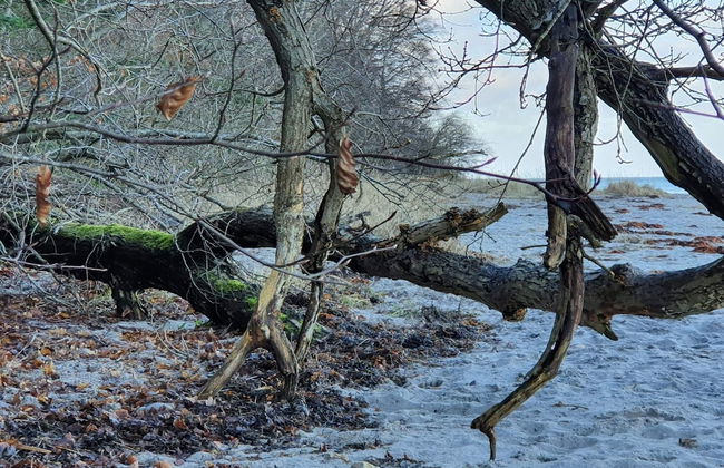 8 Person Holiday Home in Asnaes-by Traum - Photo 6