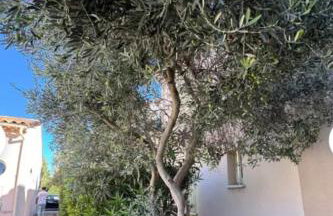 L' Ecrin des Alpilles - Foto 13