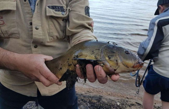 Holiday Home Hus Lammen Right on the Lake - Foto 12