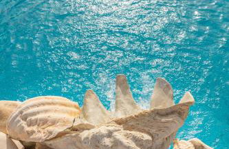 Anthe's view - Foto 43