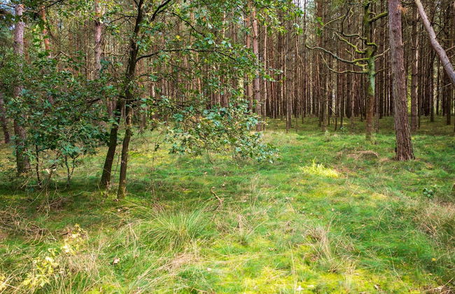 Beaunita: Luxe Stay in Hamont - Foto 38