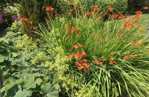 Hall Dale View near Matlock & Peak District - Photo 27