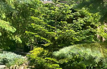 Dom Wakacyjny Myśliborka - Foto 50