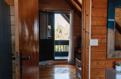 Casa de campo entre viñedos - Photo 42