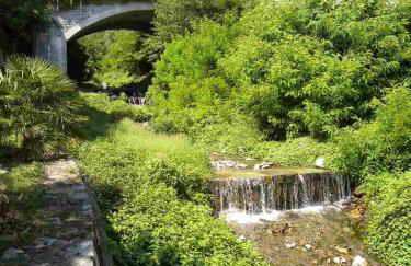 Lake View Apartments - Foto 14