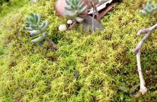 Ruidera Resort - Foto 45