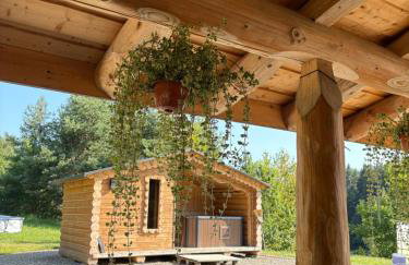 Chaty u Ramzesa nowe domy z bala - Foto 5