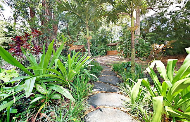 Hawaiian Dream Temple - Foto 17