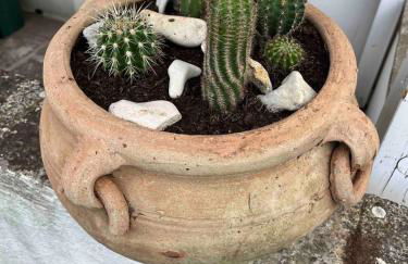 Casa Anacleto - Foto 29