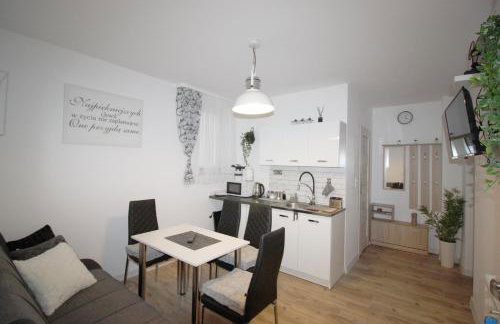 Apartamenty Bieszczady - Foto 58