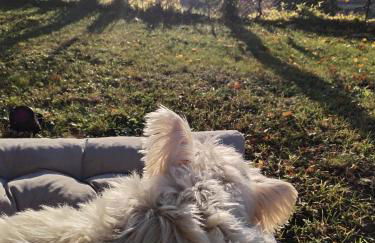 Mes Maisons - Holiday Villa in Drome Provencale - Villa Bellevue Venterol 26110 - Foto 52