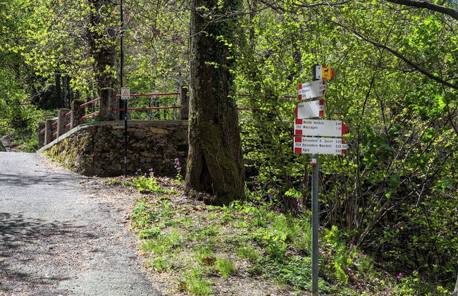 La Torretta 2 sul Lago Maggiore - Photo 51