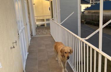 Chez Hélène 3 étoiles, labellisé disabled PMR,pour 4 personnes chiens bienvenus-pet friendly - Foto 11