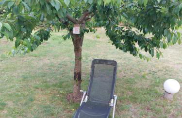 Eichberg Ferienhäuser - Foto 28