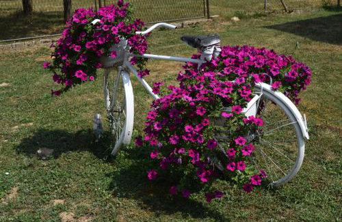 A&M studio apartman - Foto 19