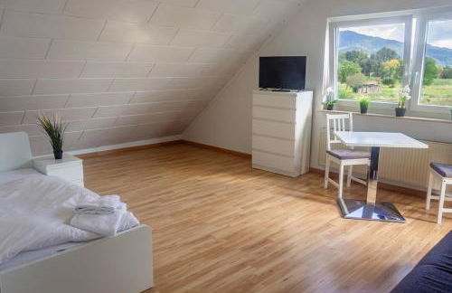 Pension Nickel Ferienwohnung DG Am Holzlachgraben - Foto 5