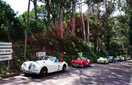 Ape Esquerdo - Foto 39