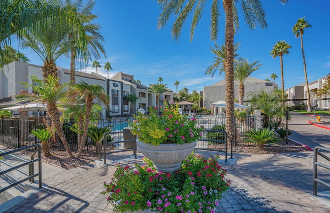 ROVE LIVING/KB - Merino - Foto 68