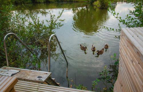 Lakeview Dome - Foto 54