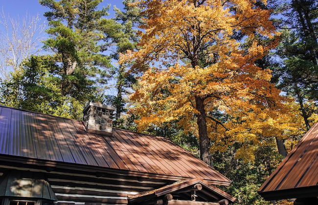 Nature's Beauty Loft Forks River Lodge - Foto 38