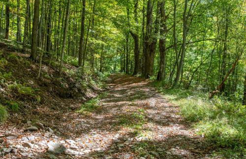 Bootleg Hollow - Foto 5