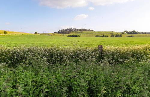 Buckland Lodge - Photo 23