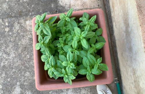 Villa Kore - Foto 12