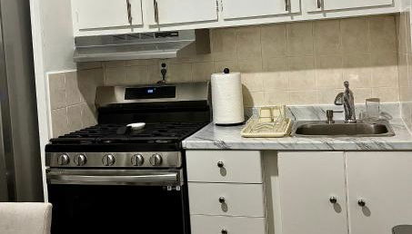 Jersey City Gem Near NYC - 2 Bedroom Apartment - Foto 5, stove