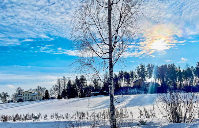 Peltosirkku - Foto 37