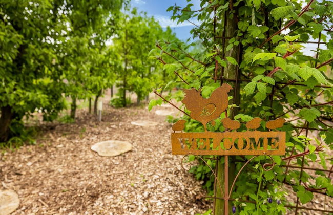 Apartment in Baflo Near Seal Center - Photo 31