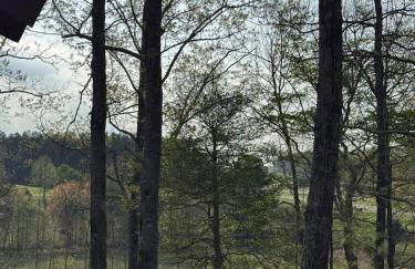 The rancher at heart - Foto 6