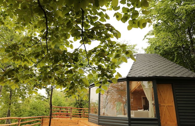 Sapanca Dağdibi Bungalov - Foto 10