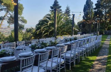 Quinta da Paciencia - Foto 20