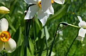 CASA VACANZA NIDO COLLETTO - Foto 30