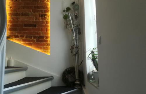 Appartment Fasanenhof Klinikum und Uni nah mit Netflix - Foto 27