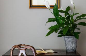 COUNTRY HOUSE OLIVETO SUL LAGO - Foto 45