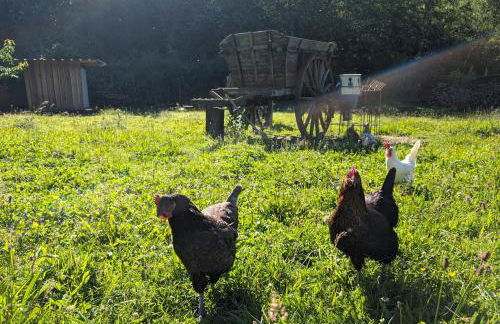 Au Ptit Bonheur De La Semoy - Foto 28