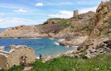 Joli appartement en Corse avec piscine - Foto 1