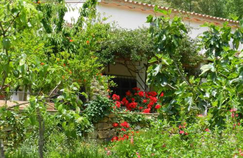 la fontana - Foto 29