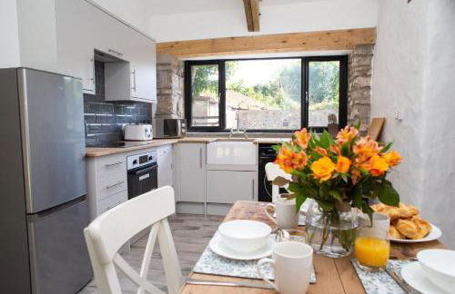 Rodney Johnston - Foto 11