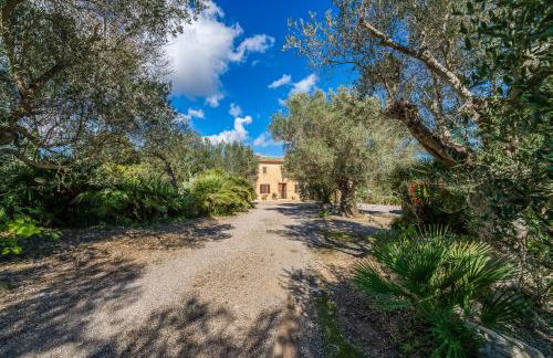 Finca Son Gener can Teula - Foto 47