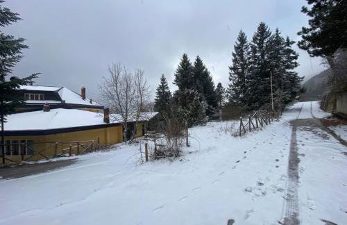 La casa nel bosco-Val Granara guesthouse - Foto 8